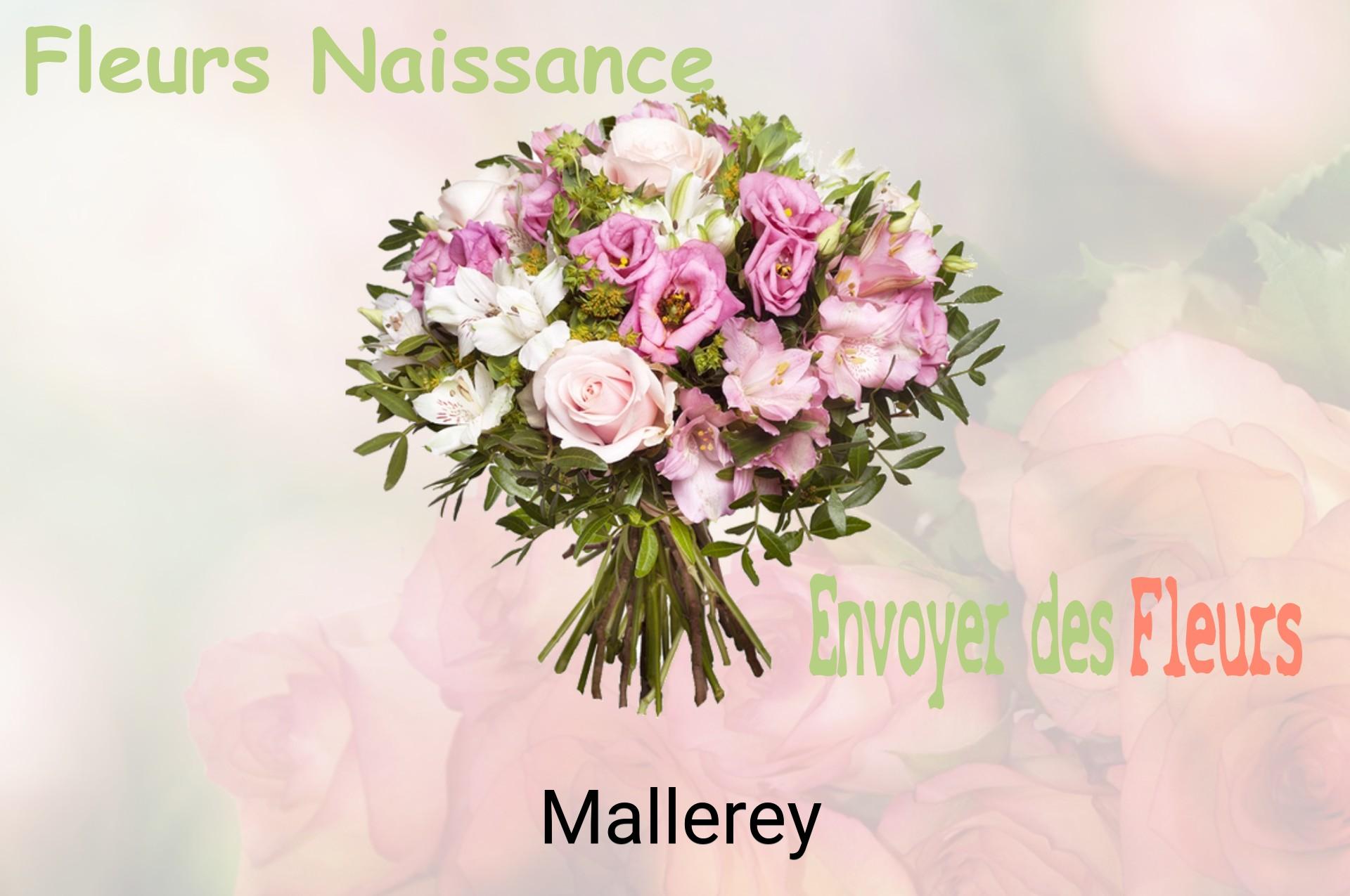Bouquet de fleurs de naissance livré à Mallerey