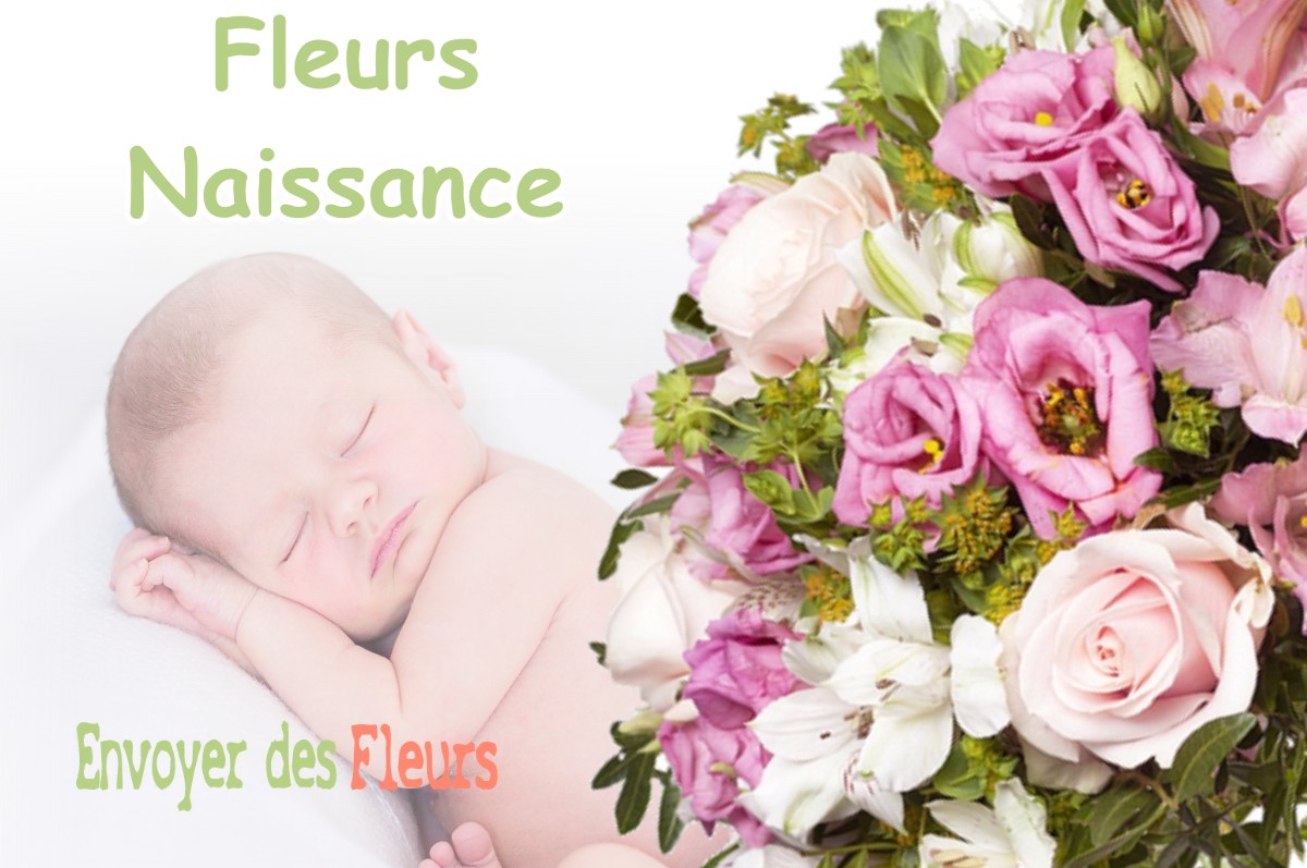 lIVRAISON FLEURS NAISSANCE à MALLEREY