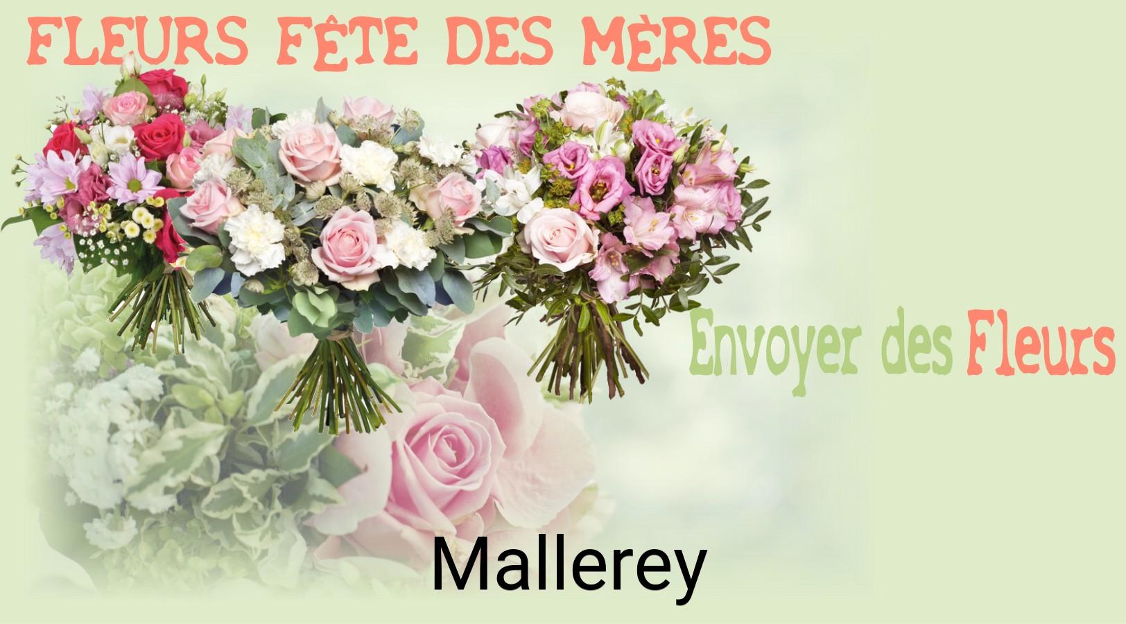 Bouquet de Fête des Mères livré à Mallerey